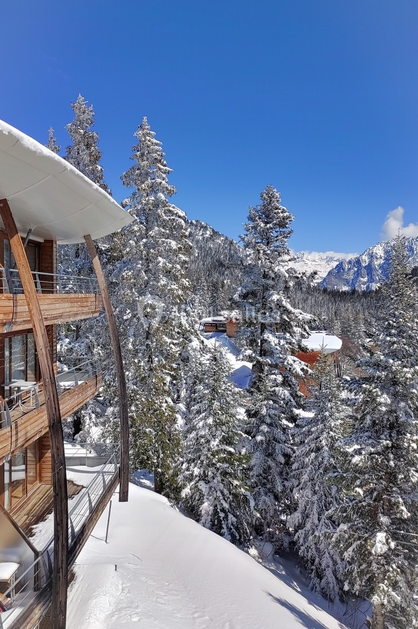 Vue d'un bâtiment en bois moderne entouré de sapins enneigés sous un ciel bleu en montagne.