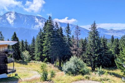 Assiette contenant une tranche de viande saignante, purée de pommes de terre et carottes glacées, nappée de sauce.