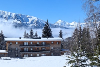 Assiette contenant une tranche de viande saignante, purée de pommes de terre et carottes glacées, nappée de sauce.
