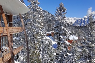 Assiette contenant une tranche de viande saignante, purée de pommes de terre et carottes glacées, nappée de sauce.