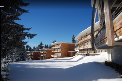 Assiette contenant une tranche de viande saignante, purée de pommes de terre et carottes glacées, nappée de sauce.