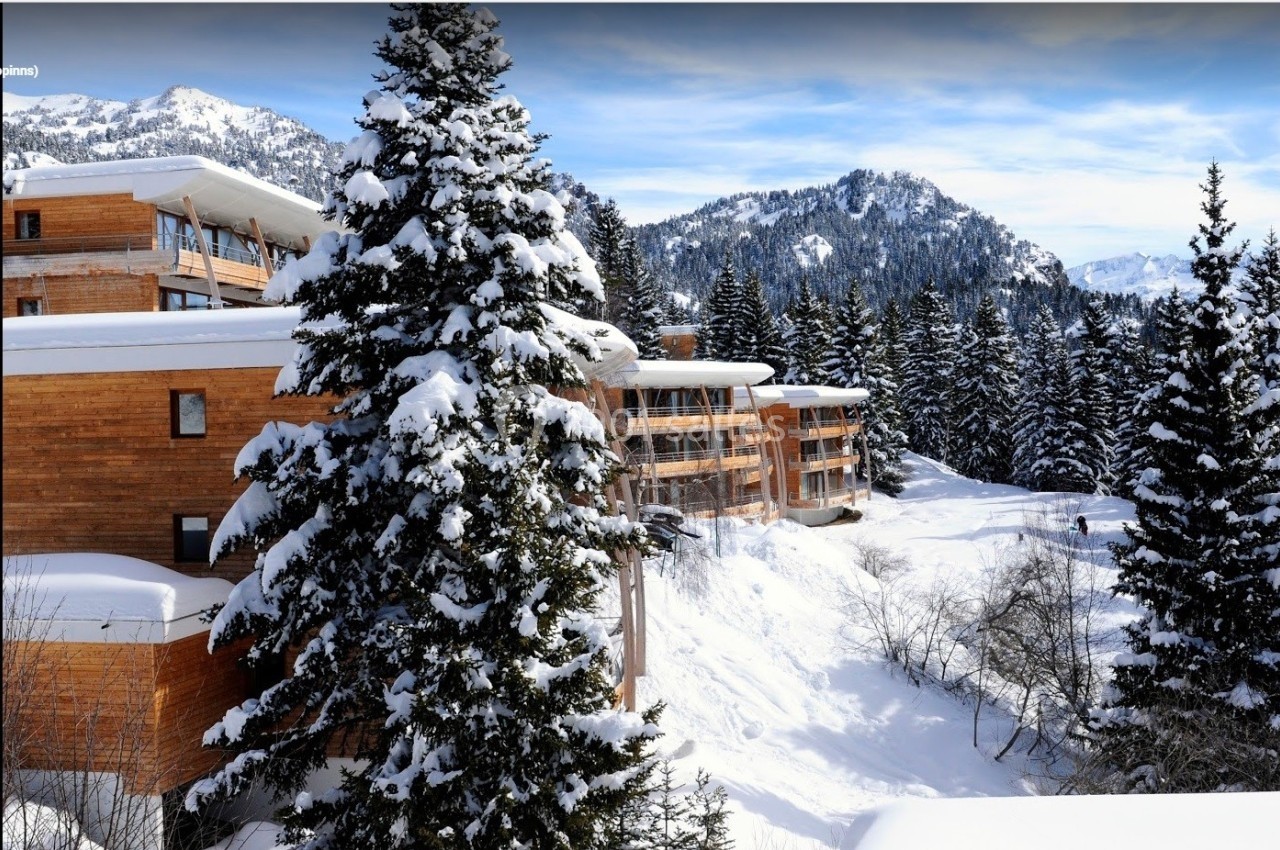 Bâtiments en bois entourés de sapins enneigés dans un paysage de montagne sous un ciel partiellement nuageux.