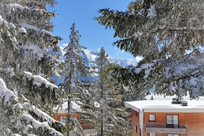 Assiette contenant une tranche de viande saignante, purée de pommes de terre et carottes glacées, nappée de sauce.
