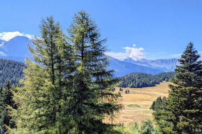 Assiette contenant une tranche de viande saignante, purée de pommes de terre et carottes glacées, nappée de sauce.