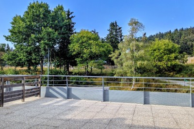 Assiette contenant une tranche de viande saignante, purée de pommes de terre et carottes glacées, nappée de sauce.