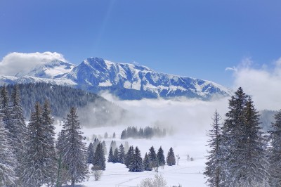 Assiette contenant une tranche de viande saignante, purée de pommes de terre et carottes glacées, nappée de sauce.