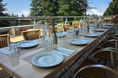 Assiette contenant une tranche de viande saignante, purée de pommes de terre et carottes glacées, nappée de sauce.