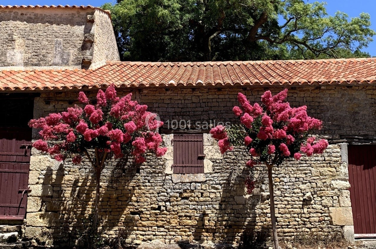 Deux arbres à fleurs roses devant un mur en pierre avec des portes et fenêtres en bois, sous un toit en tuiles.