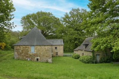 Cave voûtée en pierre avec tonneaux en bois, tabourets rustiques et escalier menant à l'extérieur.