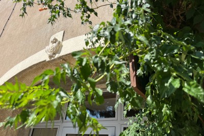 Porte-fenêtre vitrée blanche encadrée de pierre, avec une plante grimpante et une jardinière en pierre à droite.