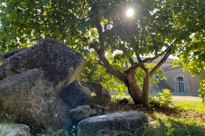 Cloche en métal fixée à un mur, avec une allée gravillonnée, des plantes et un portail en arrière-plan.