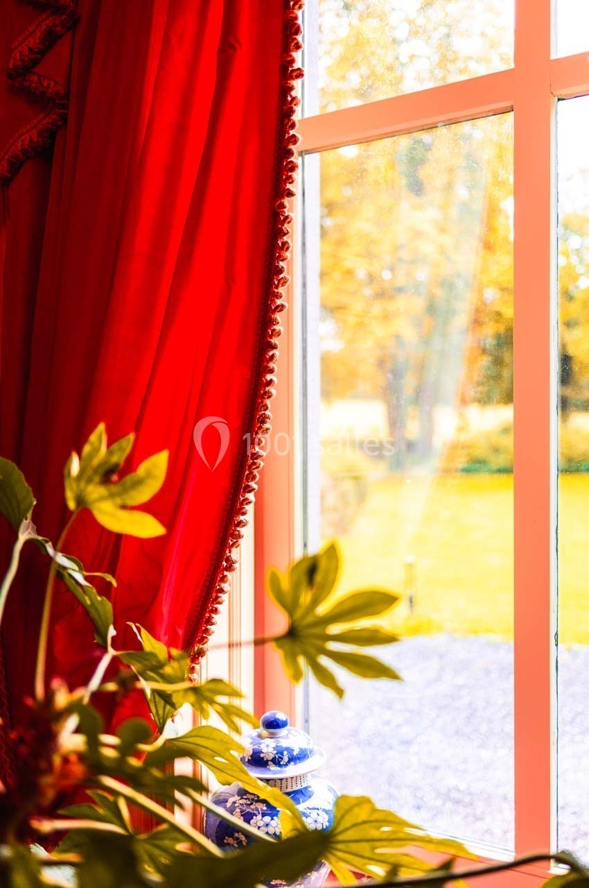 Rideau rouge encadrant une fenêtre laissant entrer la lumière, avec un pot décoratif bleu et des plantes au premier plan.