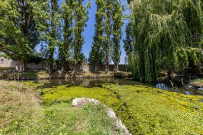 Vieille brouette en bois devant un mur en pierre et une porte en bois usée, sous un ciel dégagé.