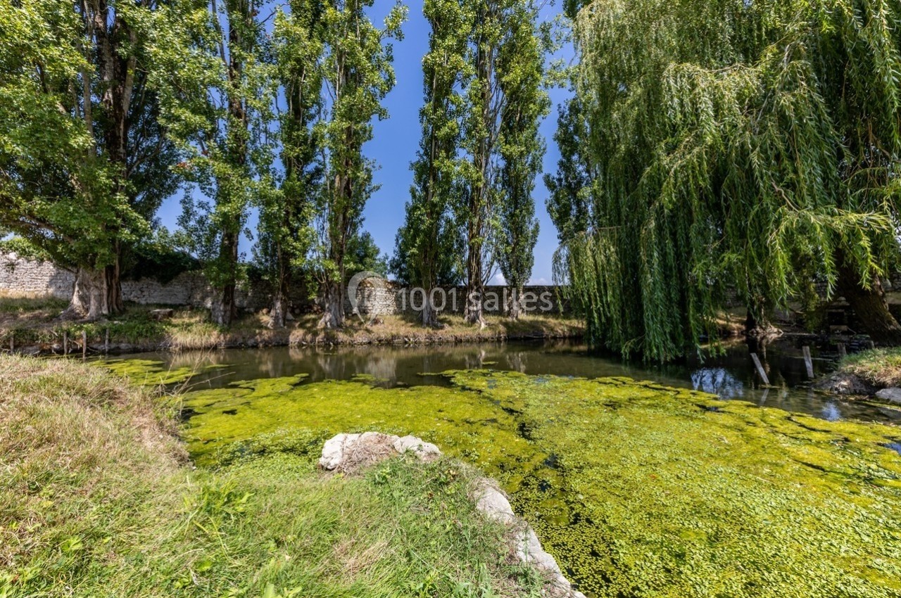 Étang bordé d'arbres, avec des algues flottantes à la surface et un mur de pierre en arrière-plan.