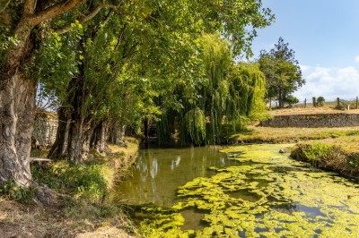 Vieille brouette en bois devant un mur en pierre et une porte en bois usée, sous un ciel dégagé.
