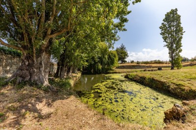 Vieille brouette en bois devant un mur en pierre et une porte en bois usée, sous un ciel dégagé.