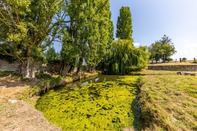 Vieille brouette en bois devant un mur en pierre et une porte en bois usée, sous un ciel dégagé.