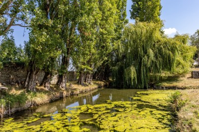 Vieille brouette en bois devant un mur en pierre et une porte en bois usée, sous un ciel dégagé.