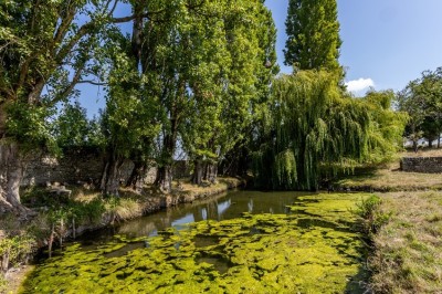 Vieille brouette en bois devant un mur en pierre et une porte en bois usée, sous un ciel dégagé.