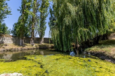 Vieille brouette en bois devant un mur en pierre et une porte en bois usée, sous un ciel dégagé.