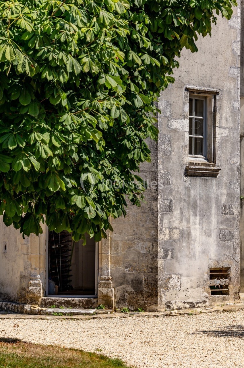 Façade en pierre d'un bâtiment ancien avec une porte entrouverte, une fenêtre et un arbre ombrageant l'entrée.