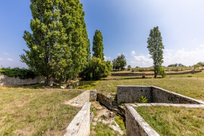 Vieille brouette en bois devant un mur en pierre et une porte en bois usée, sous un ciel dégagé.