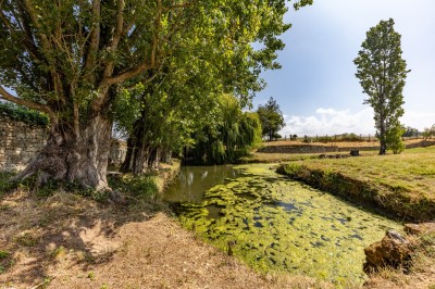 Vieille brouette en bois devant un mur en pierre et une porte en bois usée, sous un ciel dégagé.