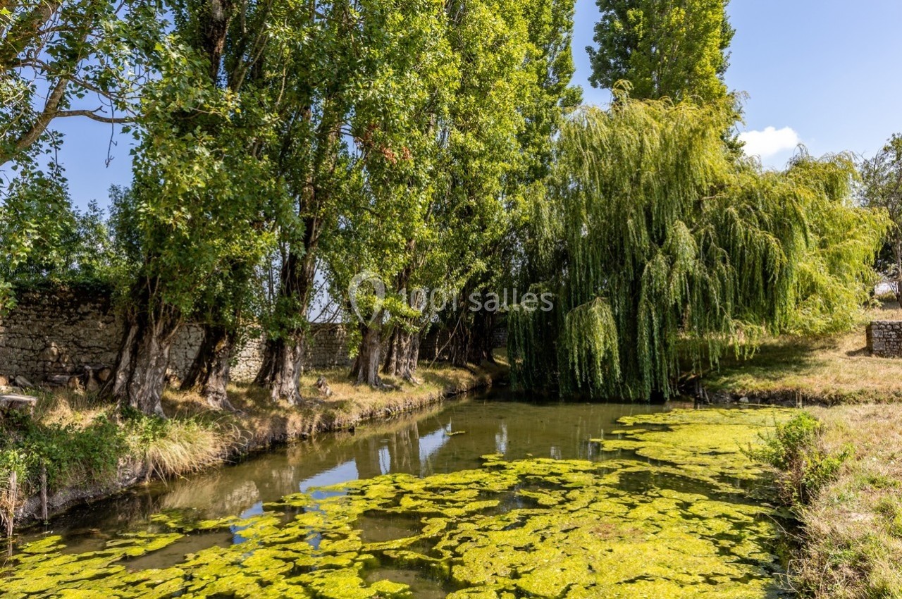 Rivière bordée d'arbres et de végétation, avec des algues flottant à la surface de l'eau.