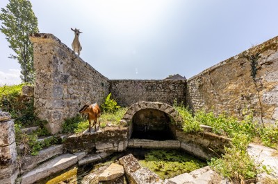 Vieille brouette en bois devant un mur en pierre et une porte en bois usée, sous un ciel dégagé.