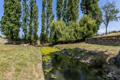 Vieille brouette en bois devant un mur en pierre et une porte en bois usée, sous un ciel dégagé.