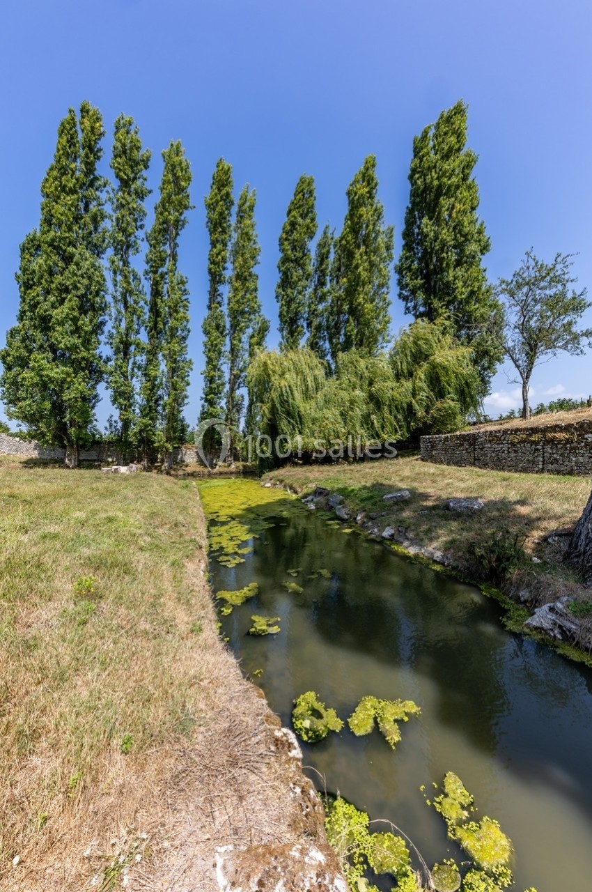 Un petit canal bordé d'arbres, avec des herbes aquatiques à la surface et un ciel bleu dégagé en arrière-plan.