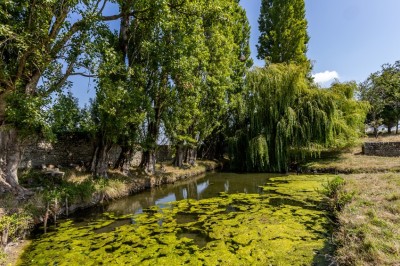 Vieille brouette en bois devant un mur en pierre et une porte en bois usée, sous un ciel dégagé.
