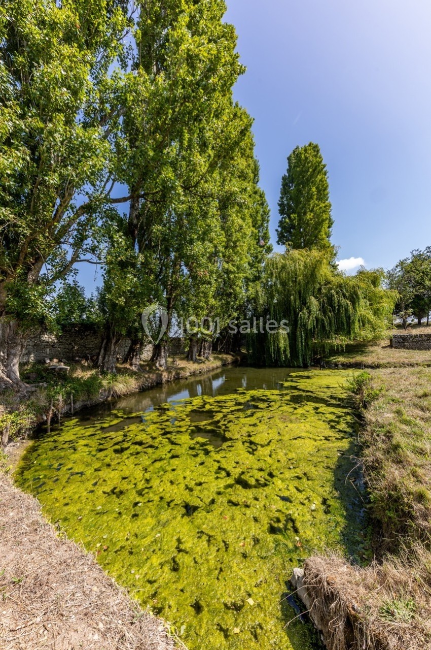 Étang bordé d'arbres, recouvert partiellement de végétation aquatique sous un ciel dégagé.