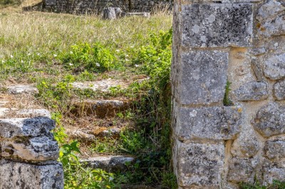 Vieille brouette en bois devant un mur en pierre et une porte en bois usée, sous un ciel dégagé.