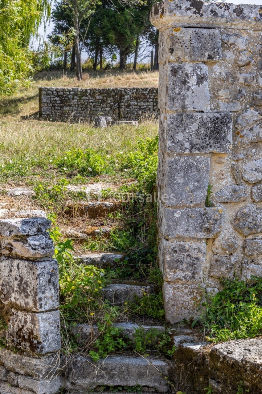 Escalier en pierre ancienne envahi par la végétation, menant à un espace herbeux entouré de murs en pierre.
