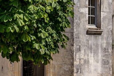 Vieille brouette en bois devant un mur en pierre et une porte en bois usée, sous un ciel dégagé.