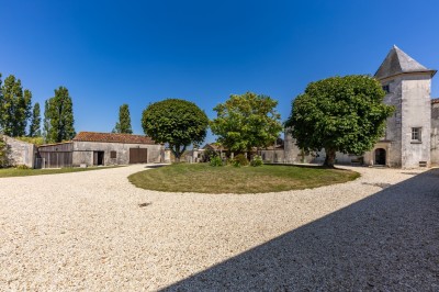 Vieille brouette en bois devant un mur en pierre et une porte en bois usée, sous un ciel dégagé.