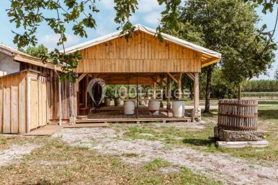 Tente beige en toile installée dans une clairière entourée d'arbres.