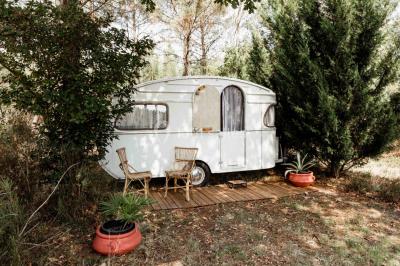 Tente beige en toile installée dans une clairière entourée d'arbres.