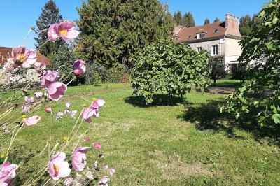 Miniature Location salle Courcelles-lès-Gisors (Oise) - Domaine des Rives de L'Epte #2 Massif d'hortensias en fleurs près d'un mur en pierre, avec un jardin verdoyant et des arbres en arrière-plan.