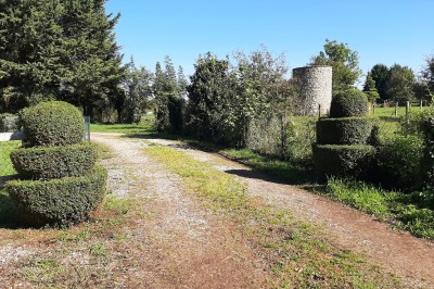 Miniature Location salle Courcelles-lès-Gisors (Oise) - Domaine des Rives de L'Epte #15 Massif d'hortensias en fleurs près d'un mur en pierre, avec un jardin verdoyant et des arbres en arrière-plan.