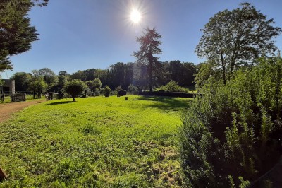 Miniature Location salle Courcelles-lès-Gisors (Oise) - Domaine des Rives de L'Epte #13 Massif d'hortensias en fleurs près d'un mur en pierre, avec un jardin verdoyant et des arbres en arrière-plan.