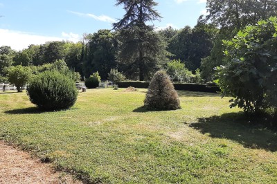 Miniature Location salle Courcelles-lès-Gisors (Oise) - Domaine des Rives de L'Epte #20 Massif d'hortensias en fleurs près d'un mur en pierre, avec un jardin verdoyant et des arbres en arrière-plan.