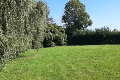 Miniature Location salle Courcelles-lès-Gisors (Oise) - Domaine des Rives de L'Epte #14 Massif d'hortensias en fleurs près d'un mur en pierre, avec un jardin verdoyant et des arbres en arrière-plan.