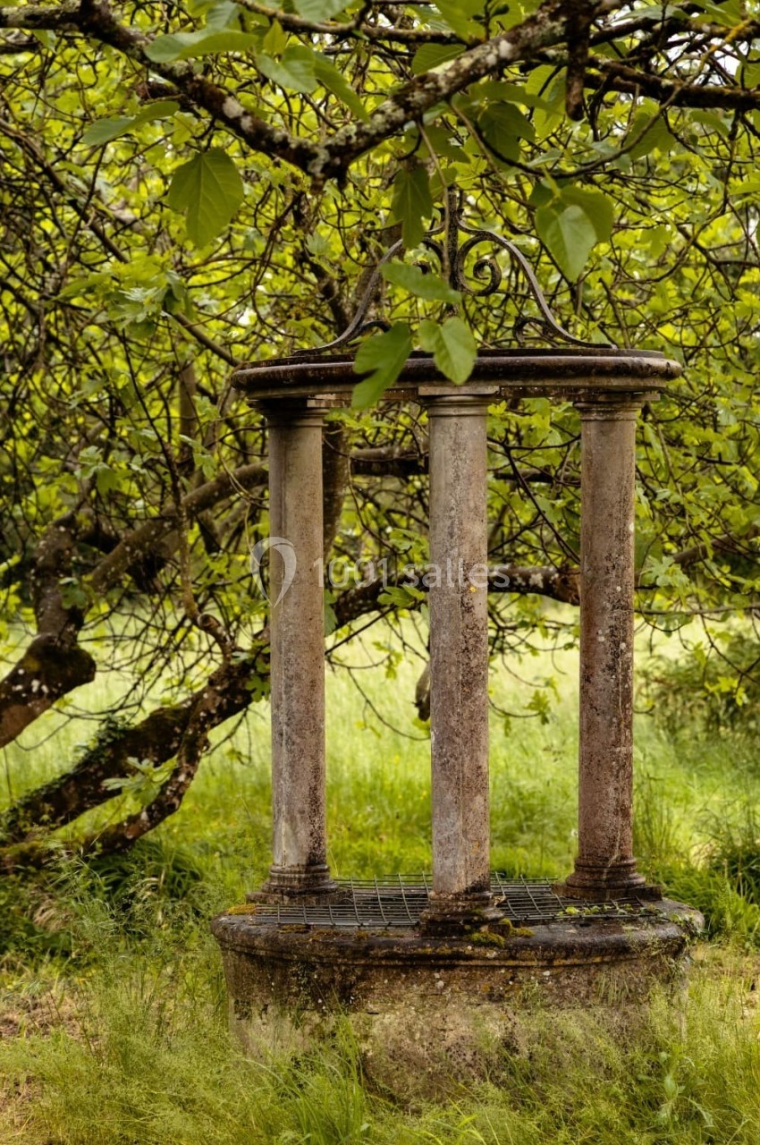 Puits en pierre ancienne entouré de végétation et d'un arbre aux branches basses dans un cadre naturel verdoyant.