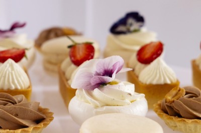 Tente blanche montée sur une pelouse, entourée de personnes et de tables, dans une cour avec bâtiments en arrière-plan.