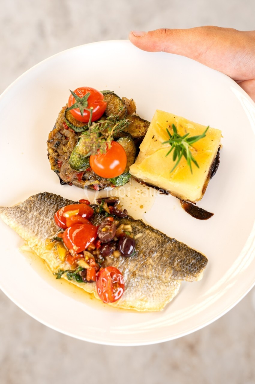 Assiette contenant un filet de poisson, légumes méditerranéens, gratin de pommes de terre et une garniture de tomates…