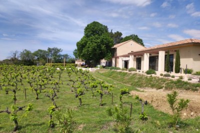 Bâtiment moderne éclairé en soirée, entouré d'arbres et d'un jardin sombre sous un ciel crépusculaire.