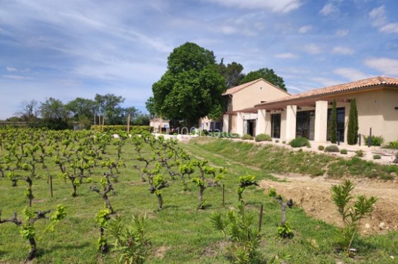 Vignes verdoyantes devant une maison en pierre avec terrasse, sous un ciel partiellement nuageux.