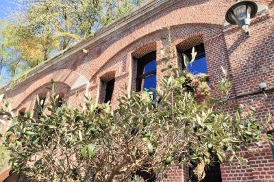 Espace extérieur aménagé pour un événement avec tables hautes, buffet et tente blanche, entouré de verdure.